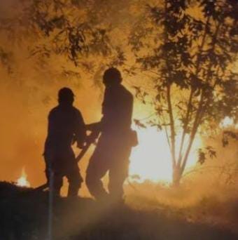 Diduga Layangan Tersangkut Kabel Listrik Pemicu Lahan Kering di Bakauheni Lampung Terbakar