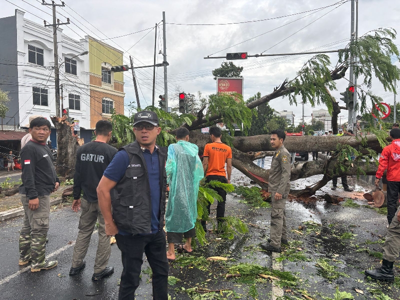 Cuaca Ekstrem Picu Pohon Tumbang di Sejumlah Titik Kota Bandar Lampung