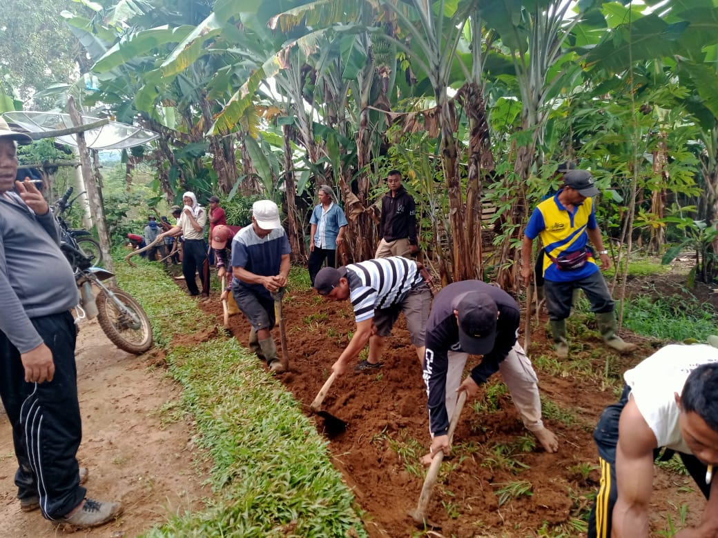 Manfaatkan Dana Desa, Kampung Menanga Jaya Bangun Jalan Sepanjang 1000 Meter
