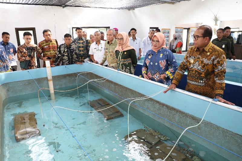 Pj Gubernur Samsudin Buka FGD Optimalisasi Pengelolaan Benih Lobster Upaya Peningkatan PAD Lampung