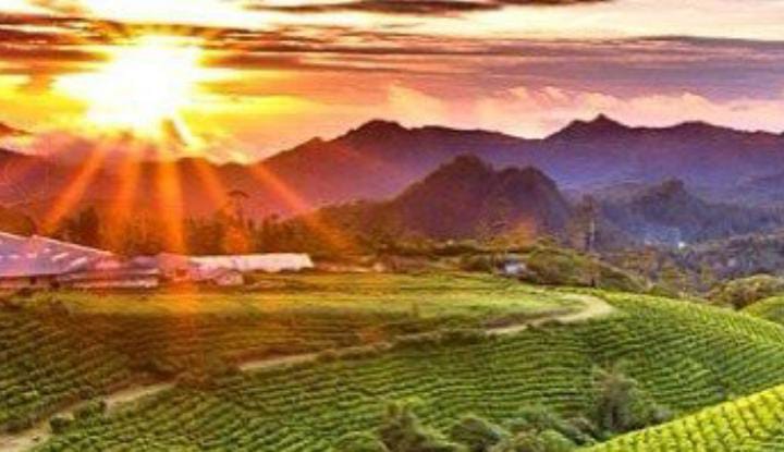 Malino Highlands, Keindahan Alam Pegunungan Sulawesi Selatan
