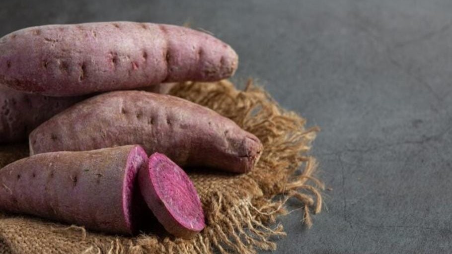 Manfaat Ubi Ungu untuk Kecantikan dan Kesehatan Wanita