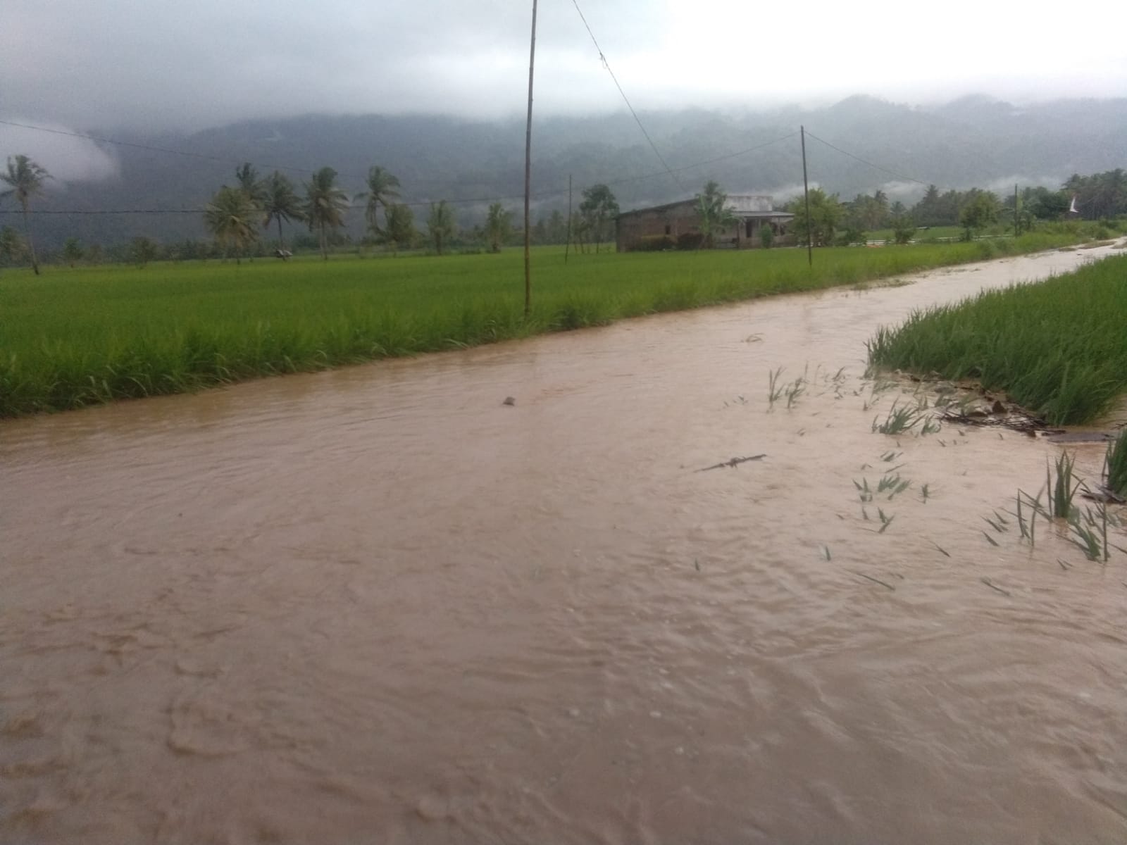 Banjir di Banding Agung Suoh, Rumah dan Areal Persawahan Terendam