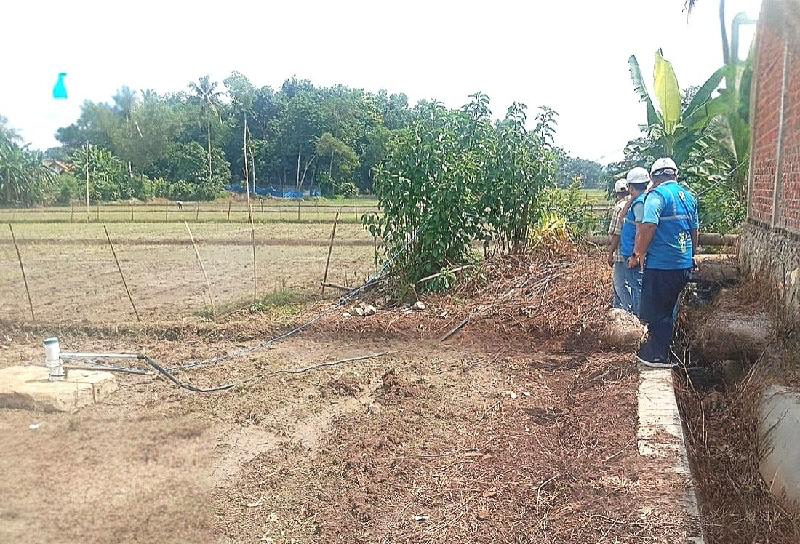 PLN Hadirkan SPLU di Desa Pejambon, Kabupaten Pesawaran Dukung Pertanian