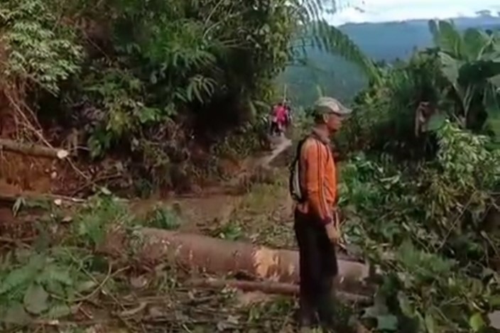 Akibat Tanah Longsor dan Pohon Tumbang, Akses Jalan Sumber Jaya-Pagar Dewa Lumpuh 
