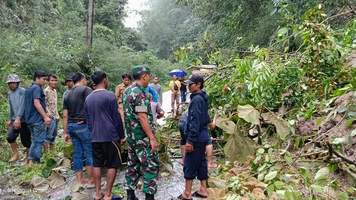 Hujan Deras, Jalan Lintas Liwa-Sukau Dilanda Longsor dan Pohon Tumbang 