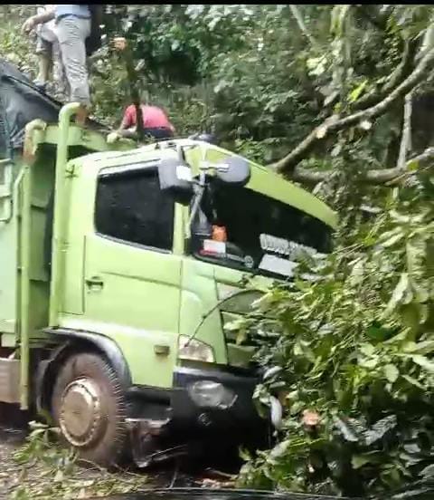 Pohon Tumbang Timpa Kendaraan R6 di Jalur Liwa-Krui