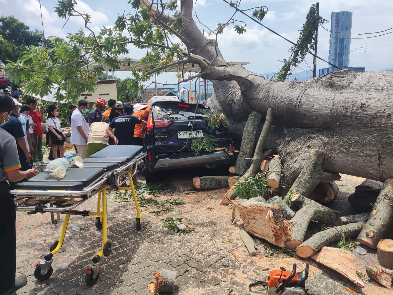 Pohon Raksasa Tumbang di Kawasan Hotel Bukit Randu Timpa Dua Mobil, Pengemudi Terjepit