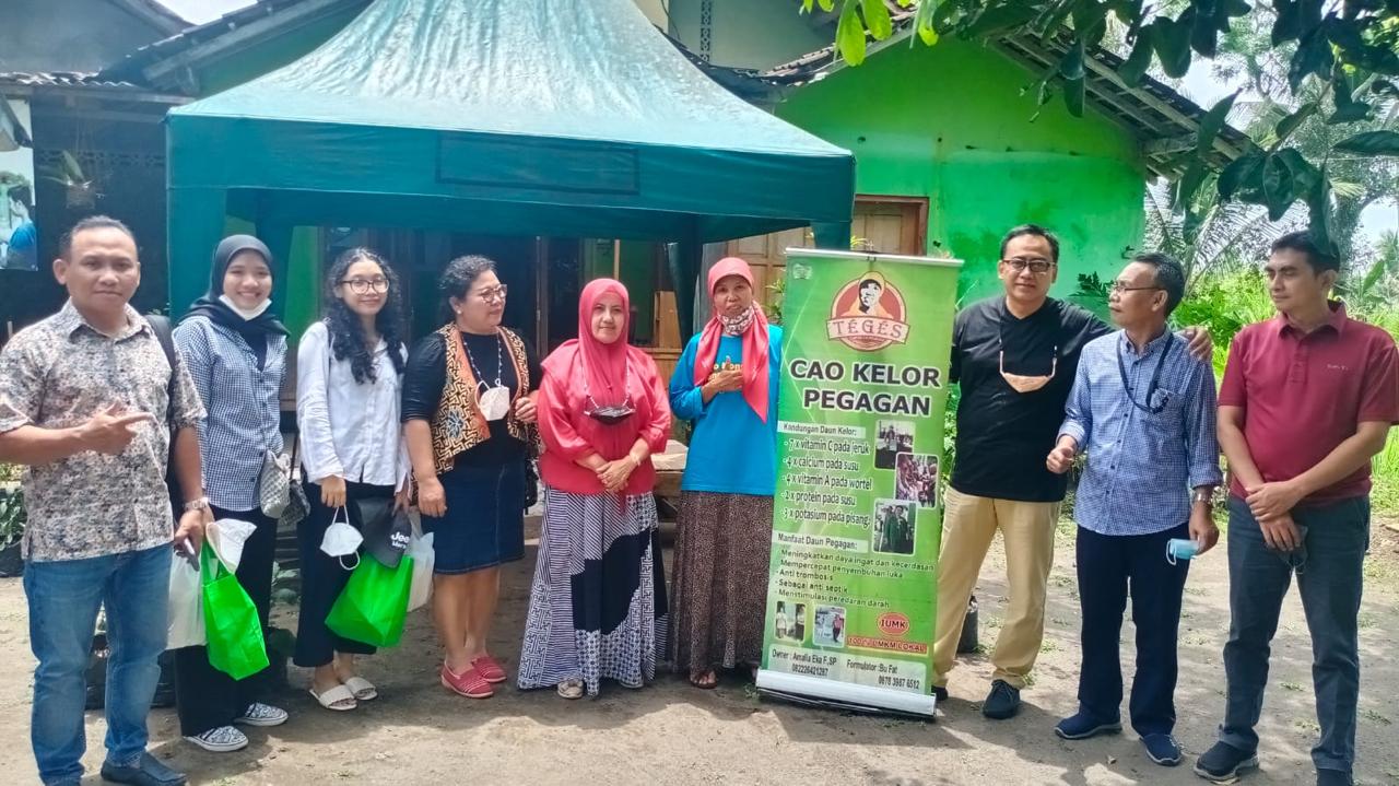 Kisah Sukses Ibu Rumah Tangga Sulap Daun Kelor Jadi Produk UMKM Beromzet Tinggi