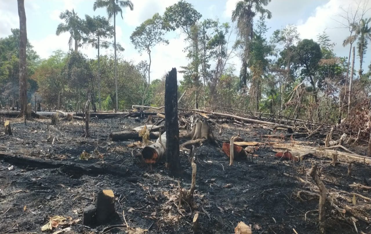 Seluas 1,5 Hektare Lahan Terbakar, Tim KPH Pesisir Barat Padamkan Kebakaran Lahan di Ngaras