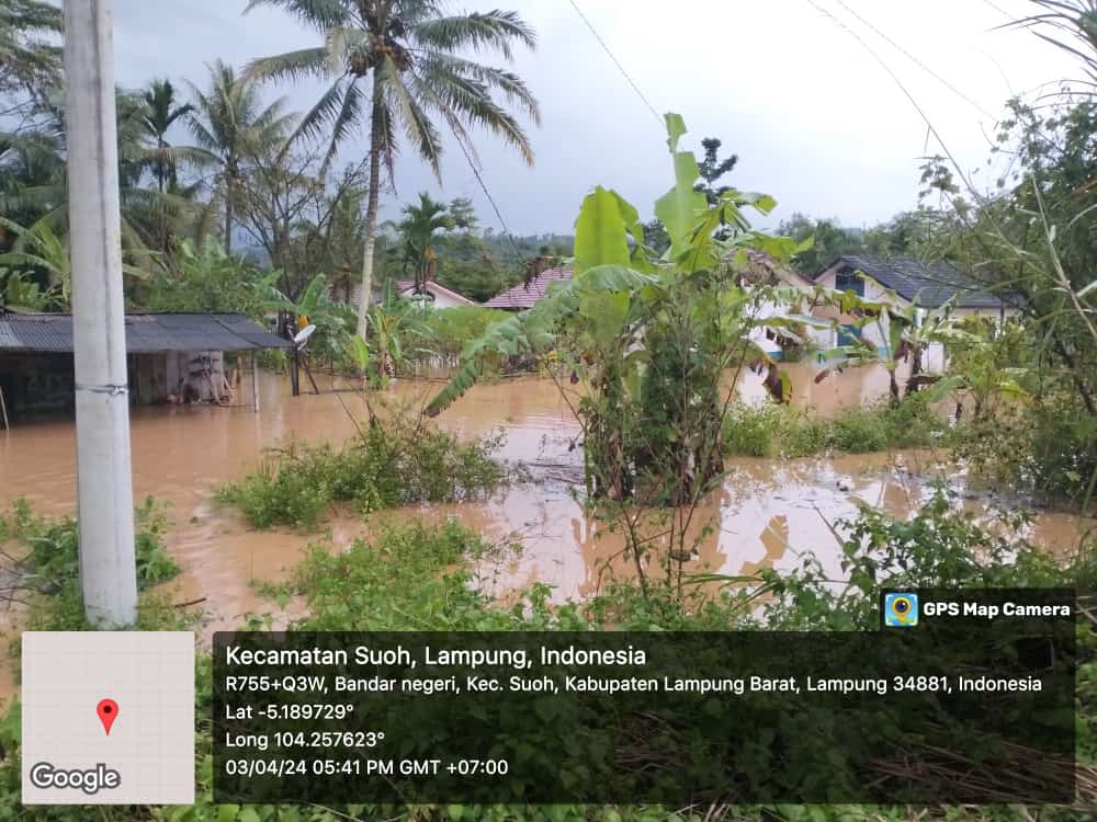 Rumah Rusak, Tiang Listrik Roboh dan 11,5 Hektar Sawah Terendam Akibat Banjir di BNS Lampung Barat