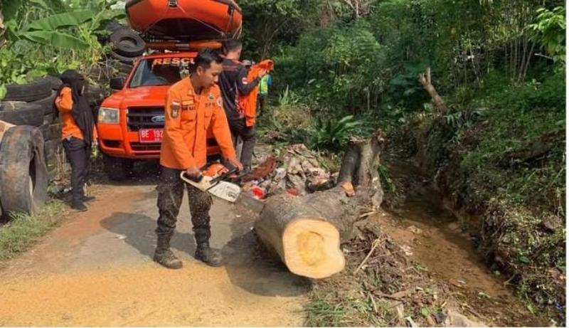 Hujan Deras Picu Pohon Tumbang dan Longsor di Bandar Lampung
