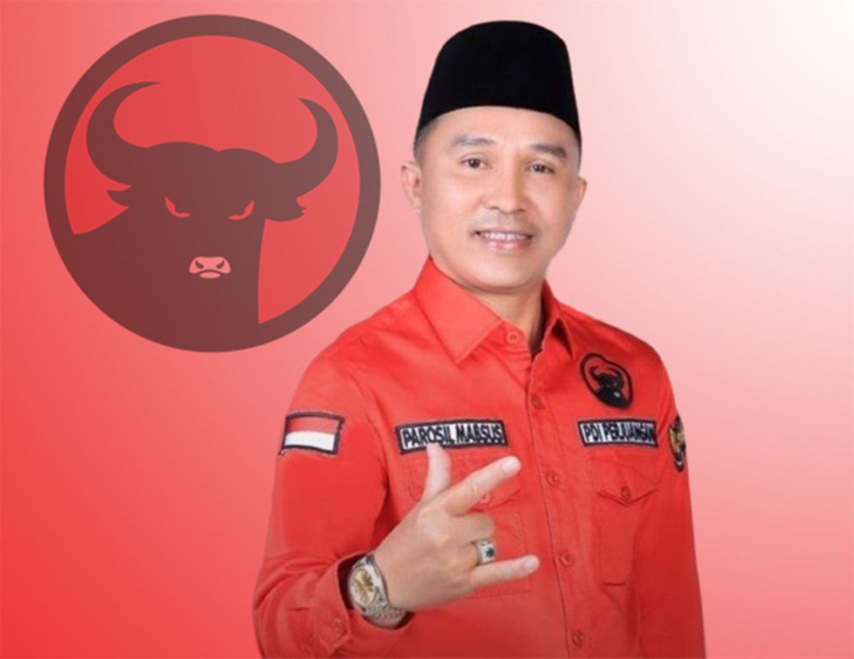 Partainya Menang Telak di Lampung Barat, Parosil Masih Enggan Bicara Soal Pilkada