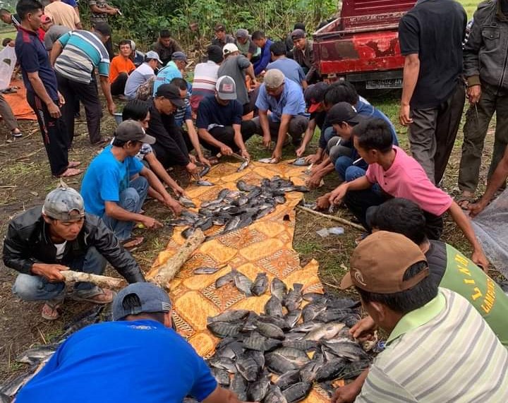 Tradisi Tatikolan Adat Lampung Masih Terjaga di Tengah Kemajuan Zaman 