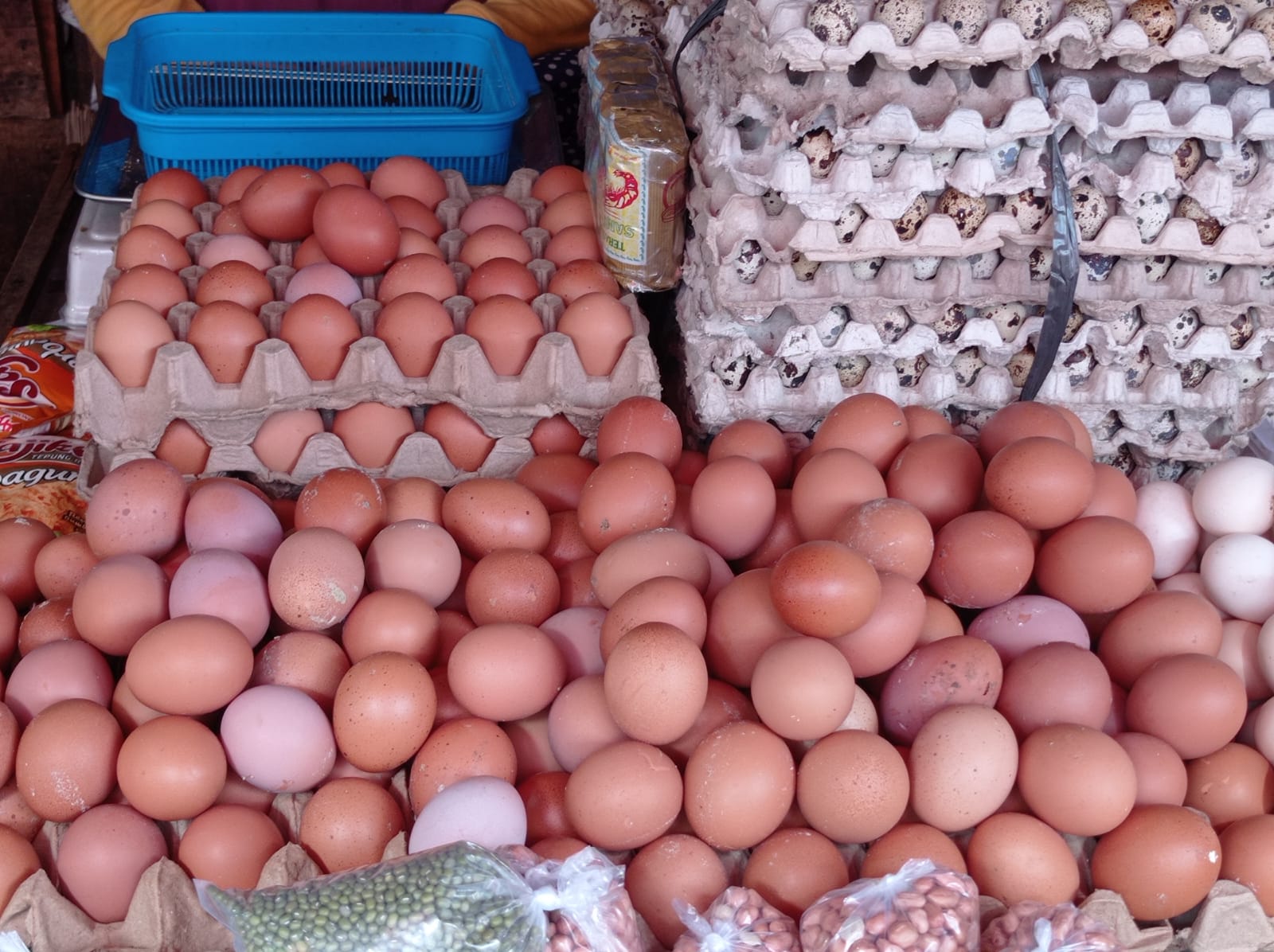Ini Penyebab Naiknya Harga Telur Ayam di Bandar Lampung