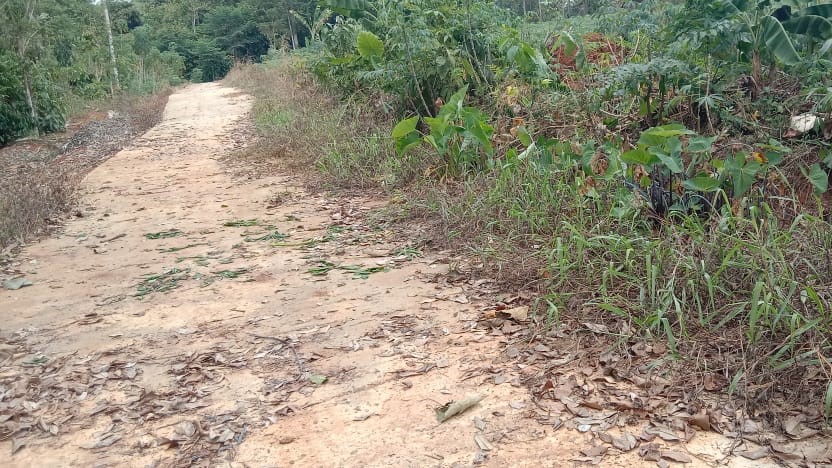 Ini Jawaban Sekdes Lepang Tengah Soal Pembangunan Rabat Beton Tanpa Plang Proyek