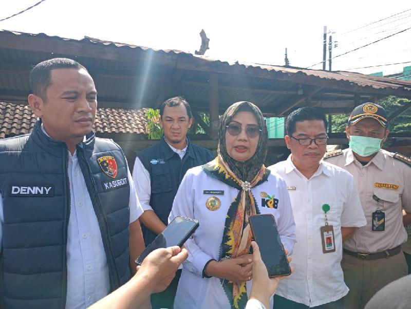 Disnakeswan Lampung Bersama Instansi Terkait Cek Ketersediaan dan Kesehatan Hewan Kurban