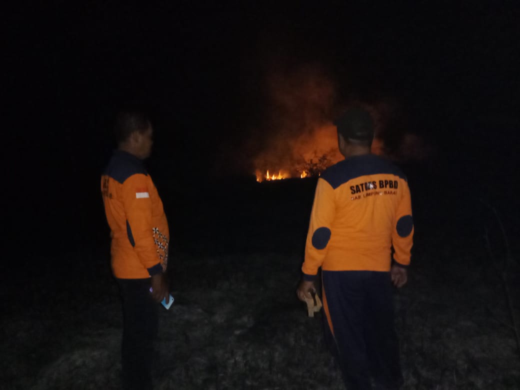 Api Berhasil Dipadamkan, Sekitar 8 Hektare Savana di Danau Minyak Suoh Hangus