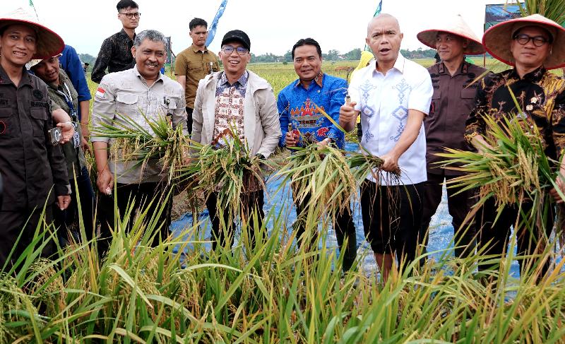 Lampung Targetkan Jadi Garda Terdepan Ketahanan Pangan Nasional