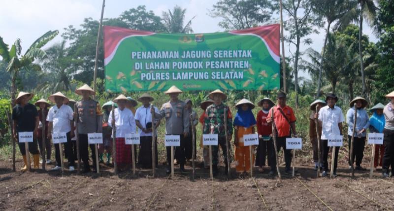 Dorong Ketahanan Pangan Berbasis Komunitas,Polres Lamsel Lakukan Penanaman Jagung di Ponpes 