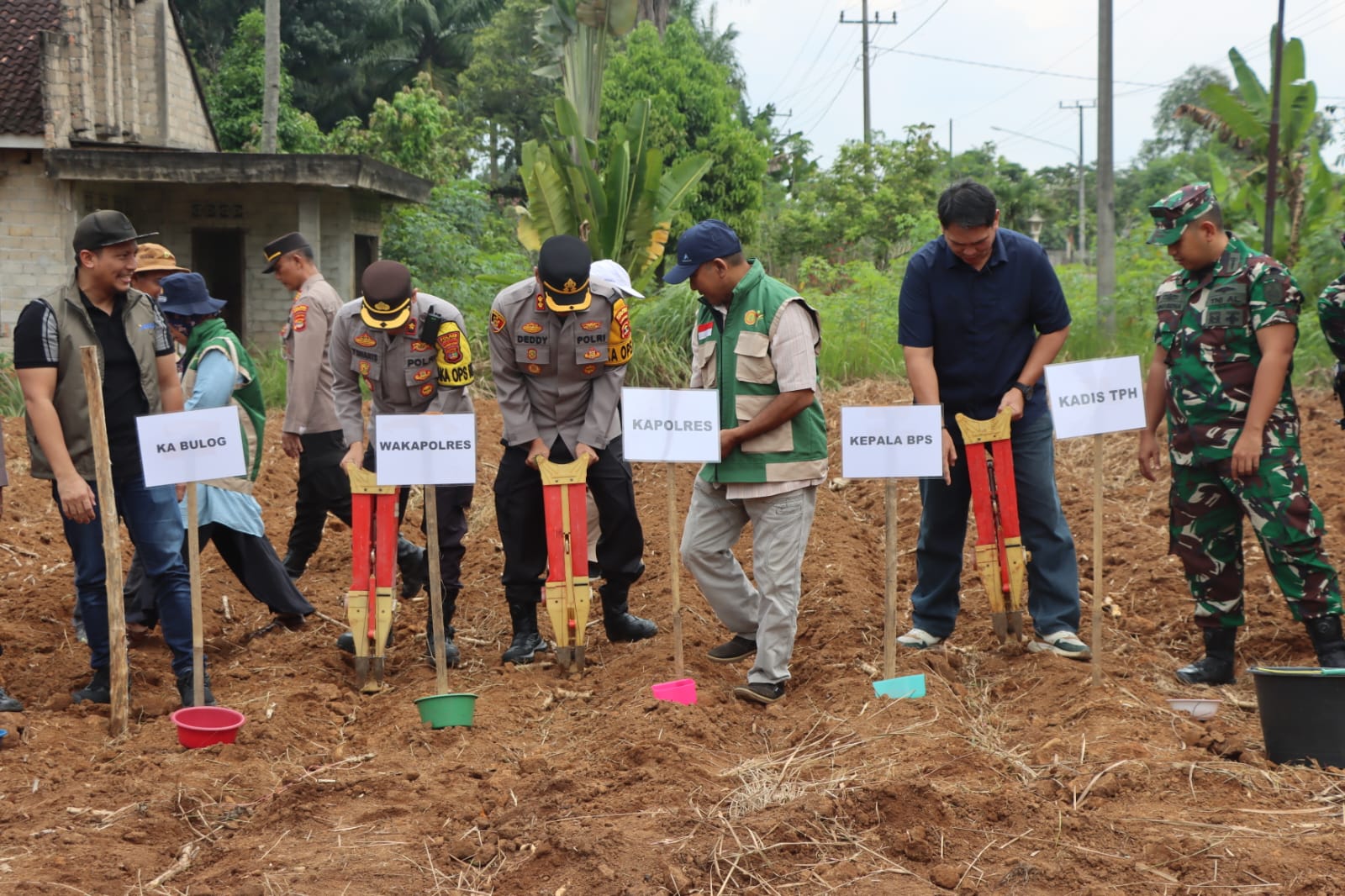 Polres Lampung Utara Tanam Jagung 1 Hektare, Dukung Program Swasembada Pangan 2026