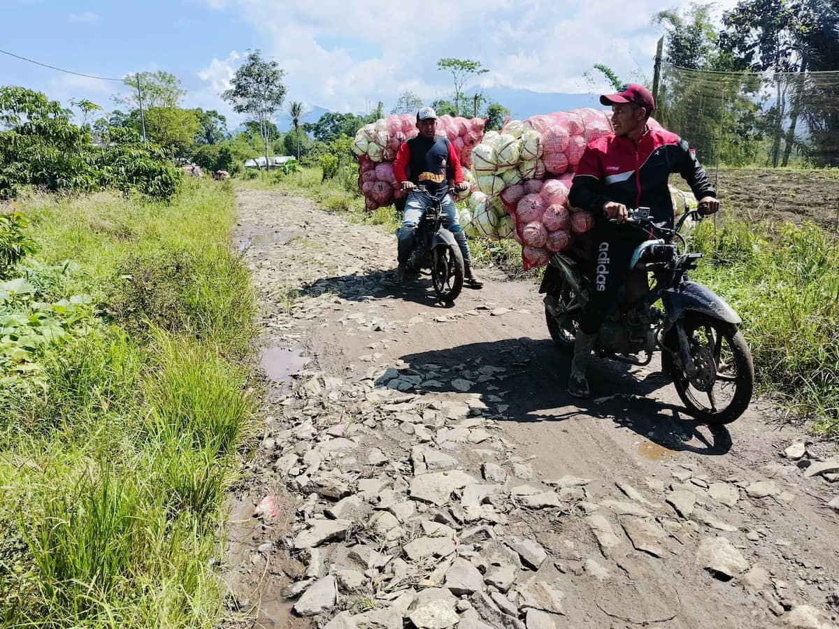 Jalan Rusak Hambat Laju Aktivitas Pertanian Warga Talang Tengah 