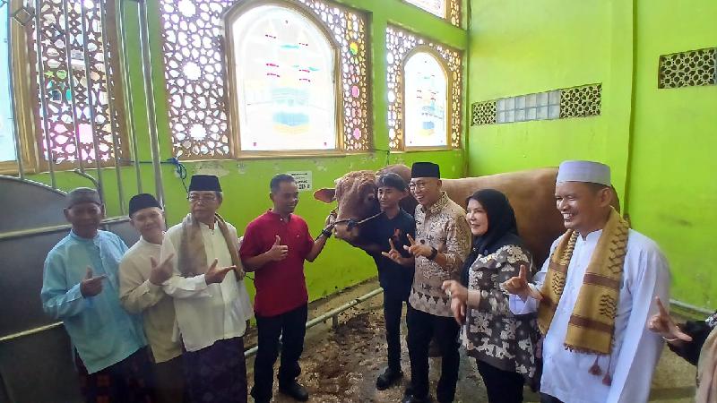 Gubernur Lampung Serahkan Sapi Kurban Bantuan Presiden
