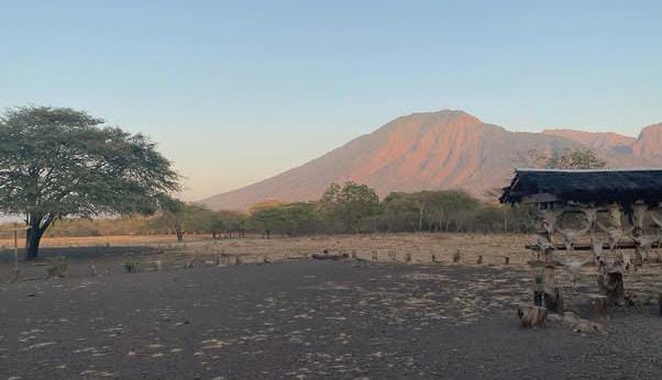Savana Bekol, Lukisan Alam di Pulau Rinca yang Tak Lekang Waktu