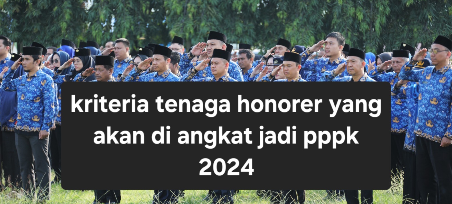 Tenaga Honorer dengan 3 Kriteria Berikut Tidak Akan Diangkat Menjadi PPPK 