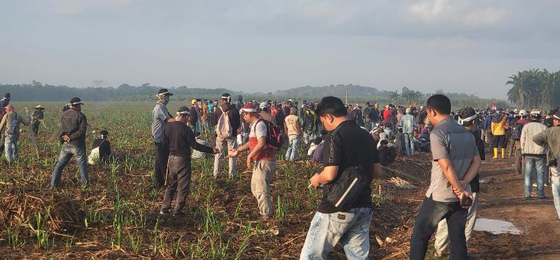 Warga Klaim Lahan Adat, Tanami Area PT BSA di Lampung Tengah