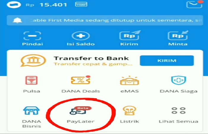 Cara Aktifkan DANA PayLater, Dapatkan Limit Jutaan Rupiah dengan Tenor Hingga 12 Bulan 
