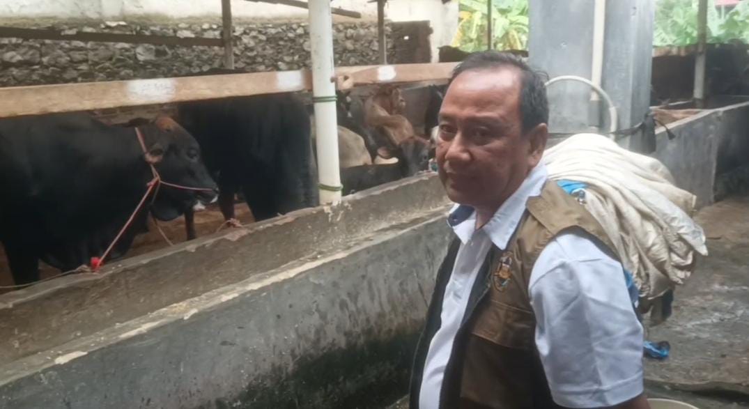 Jelang Idul Adha, Pemkot Bandar Lampung Cek Kesehatan dan Vaksinasi Hewan Kurban