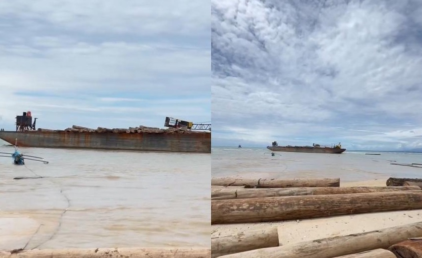 Kayu Muatan Kapal Tongkang Terdampar di Pesisir Barat Berserakan di Pantai