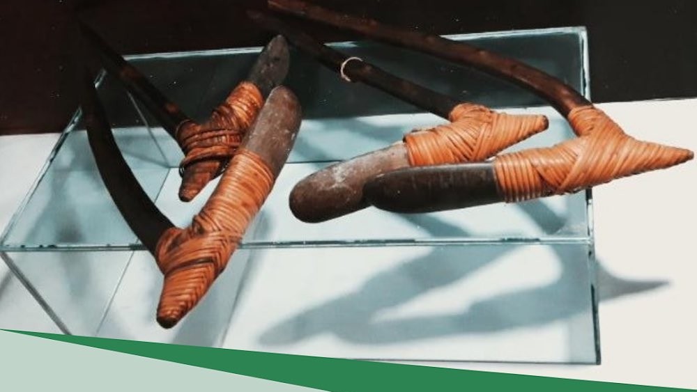 Kapak Batu Suku Asmat: Senjata Tradisional yang Lahir dari Alam Papua