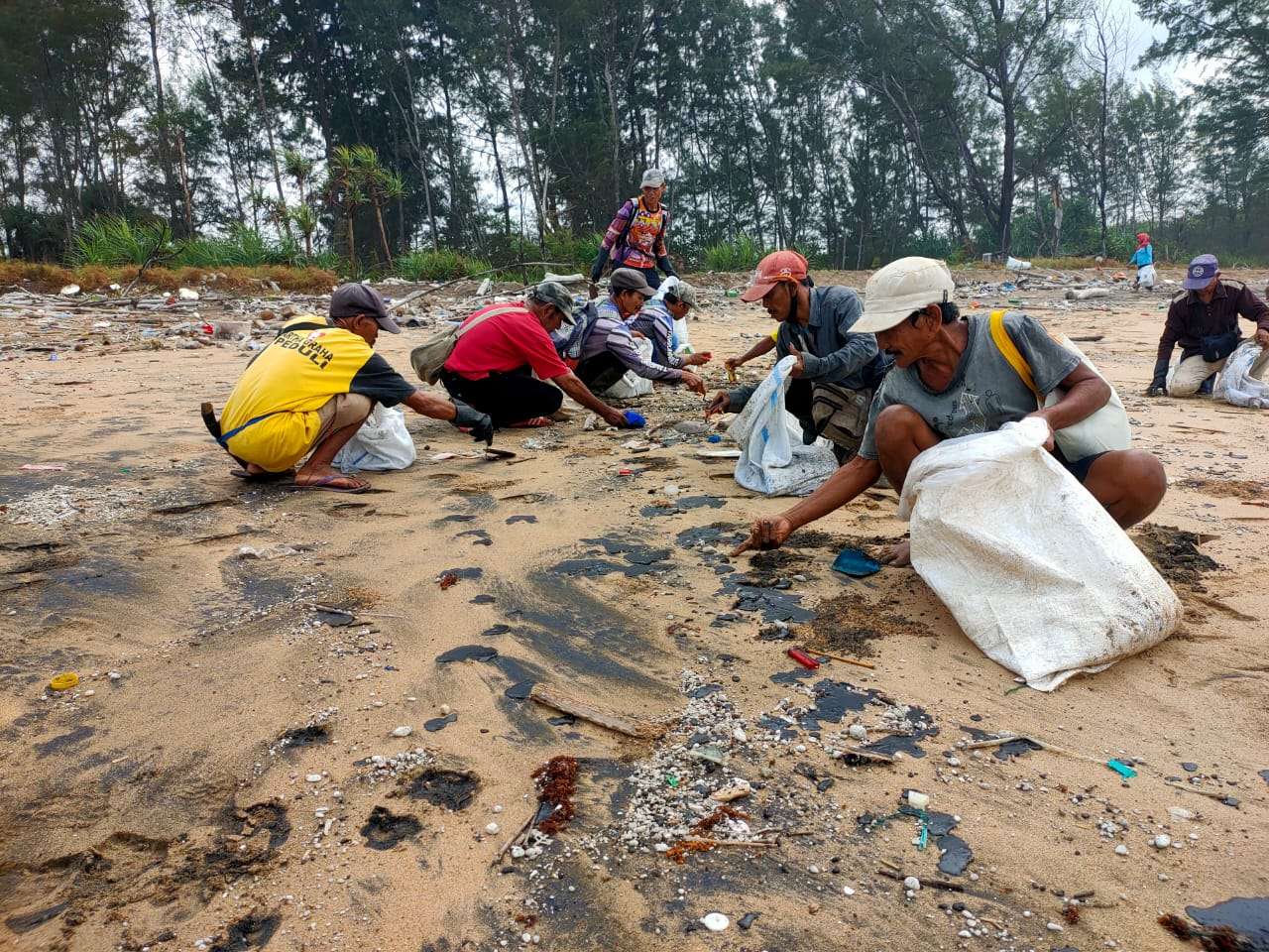 Perairan Bangkunat Tercemar Minyak Mentah, TWNC dan Warga Bersihkan Pinggiran Pantai