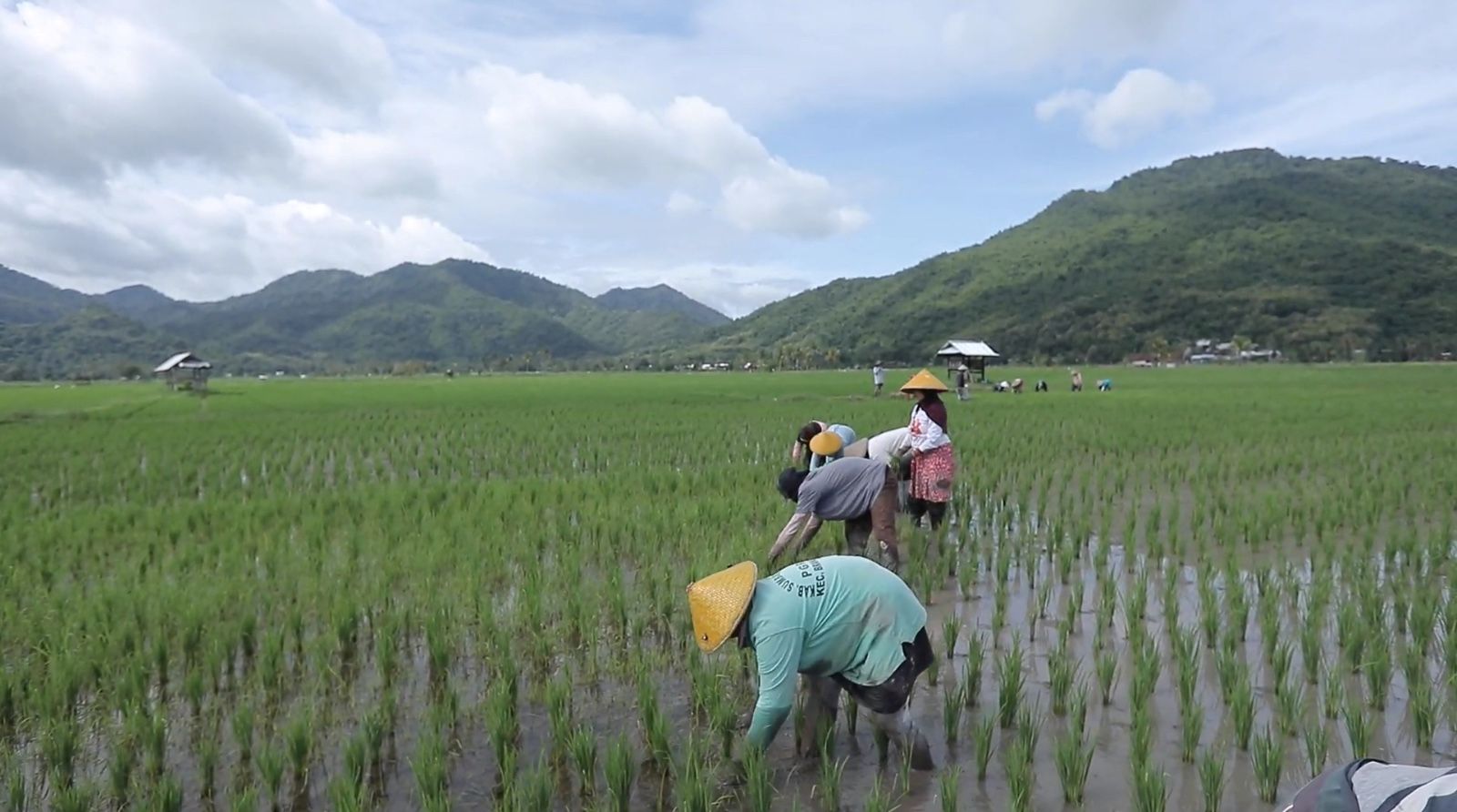 Gotong Royong Jadi Kunci Sukses Ekonomi Desa Manemeng melalui Desa BRILiaN