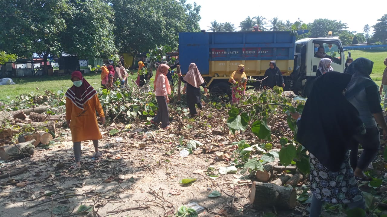 DLH Pesisir Barat Bersihkan Pohon Tumbang di Lapangan Merdeka
