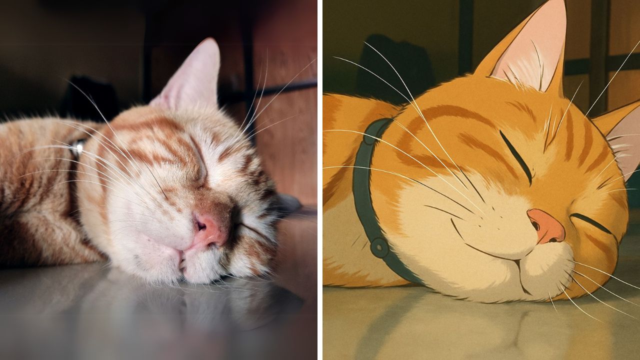 Cara Mudah Ubah Gaya Foto Lewat Chat Perplexity AI di WhatsApp