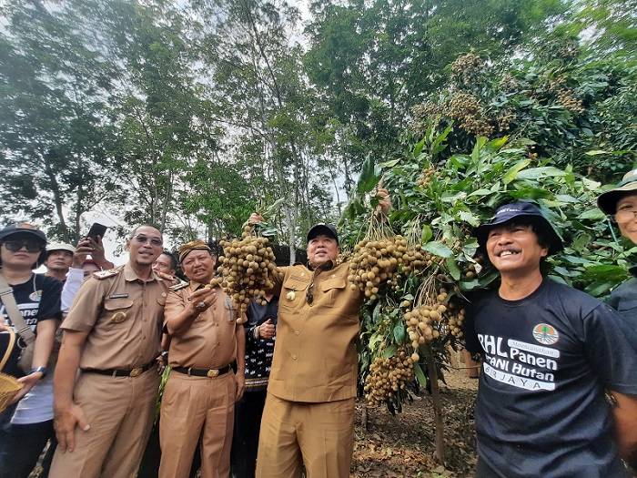 Potensi Sentra Kelengkeng di Lamtim: Gubernur Arinal Dorong Dukungan Berbagai Pihak