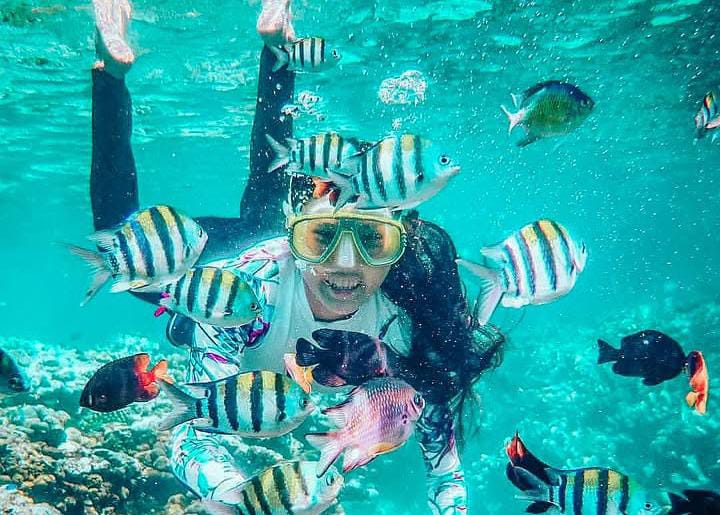 Taman Laut Olele, Surga Bawah Permukaan Teluk Tomini