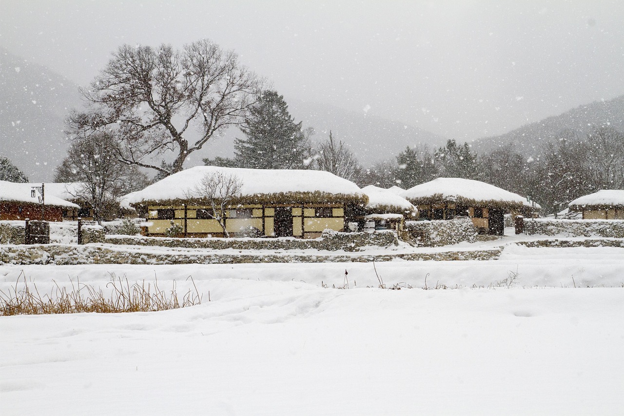 Fenomena Hujan Salju: Antara Dingin dan Keajaiban Alam