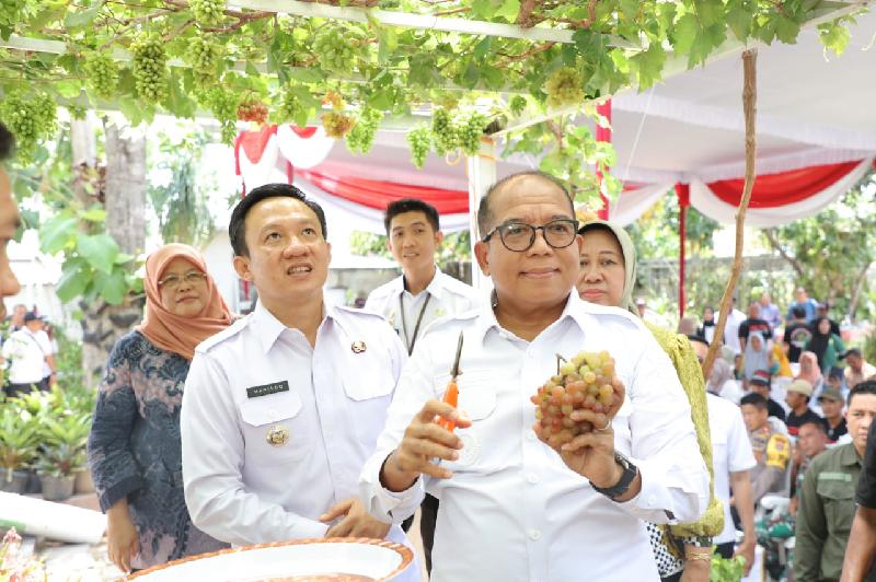 Pj Gubernur Samsudin Dukung Pringsewu Jadi Kota Anggur, Upaya Tingkatkan Identitas dan Komoditas Daerah