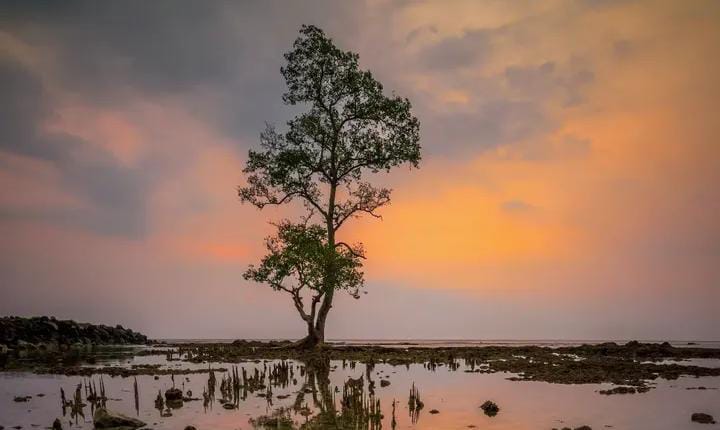 8 Destinasi Wisata Menarik Sepanjang Perjalanan ke Jawa Timur