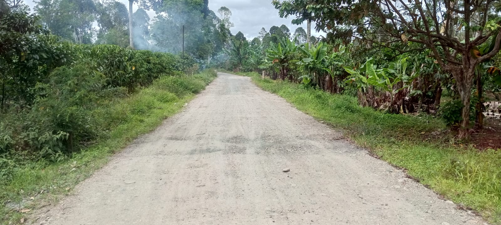 Telan Dana Rp150 Juta, Ruas Jalan Kembahang-Sukabumi Hanya Disiram Sirtu