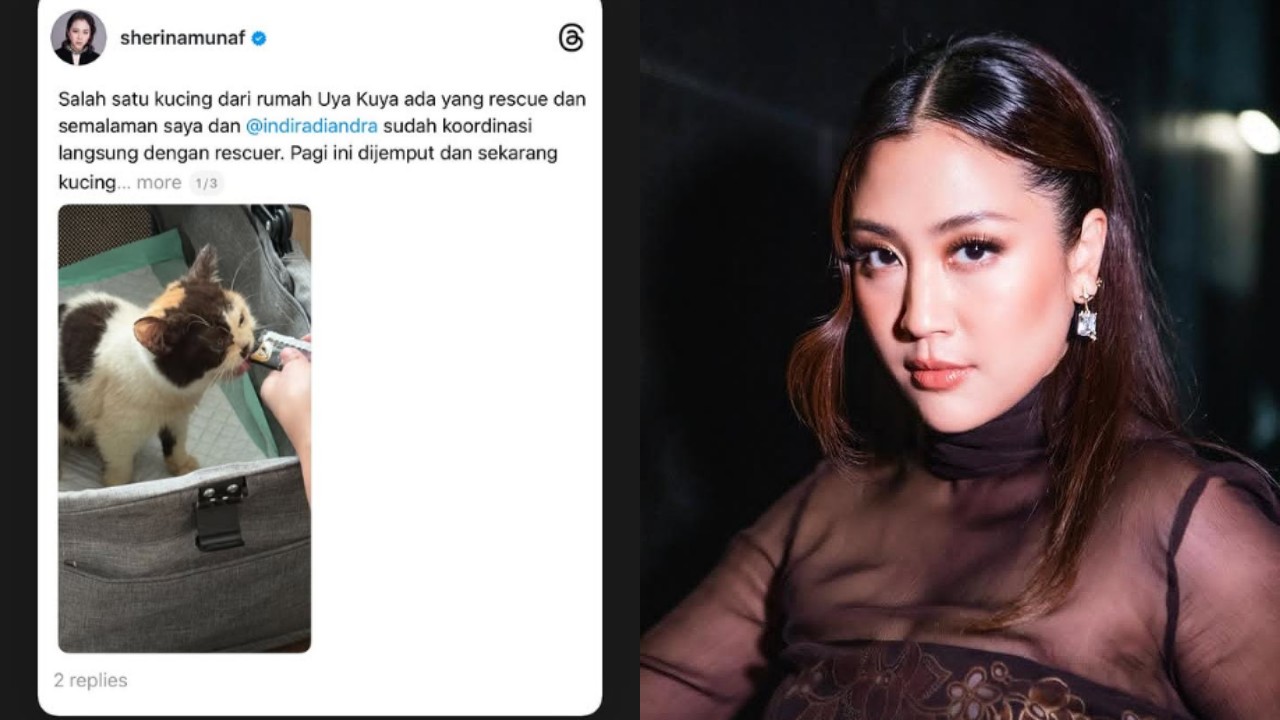 Sherina Munaf Selamatkan Kucing Kurus dari Rumah Uya Kuya yang Dijarah