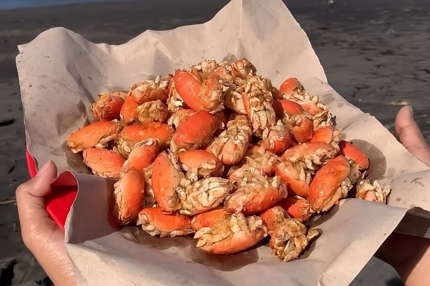 Gurihnya Yutuk Goreng, Camilan Unik dari Laut Selatan Kebumen Jawa Tengah