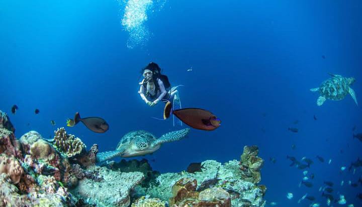 Menyelami Keajaiban Bawah Laut Taman Nasional Bunaken