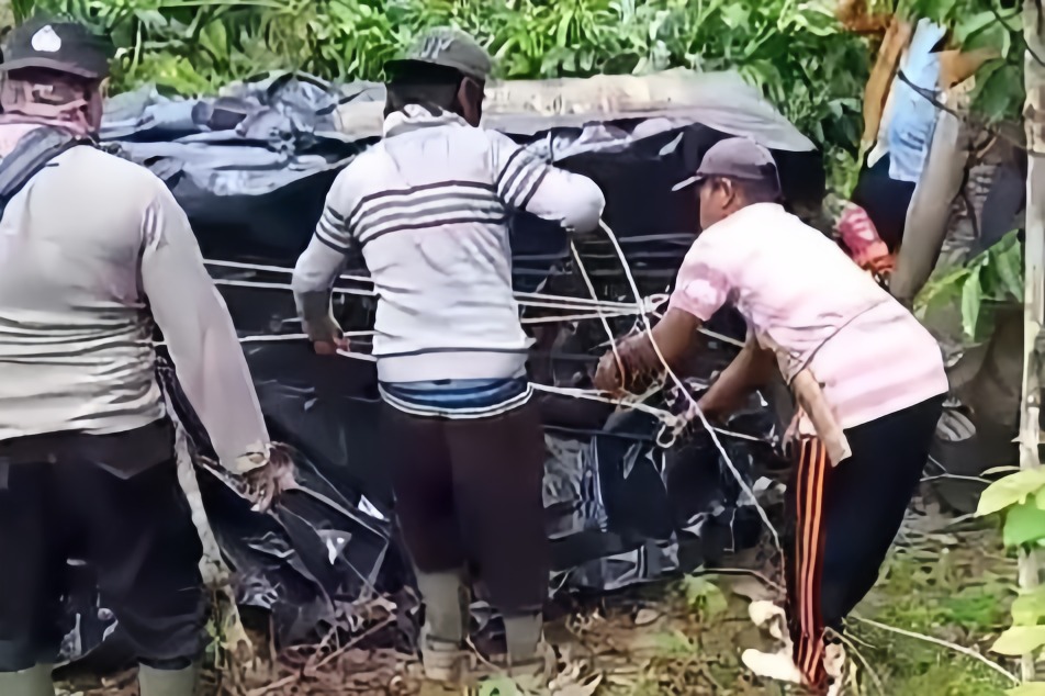 Kondisinya Stabil dan Responsif, Harimau Terperangkap di Sukabumi Diduga Berjenis Kelamin Jantan