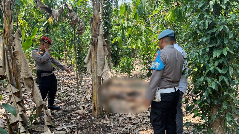 Polisi Selidiki Penemuan Mayat Dikebun Milik Warga Pringsewu