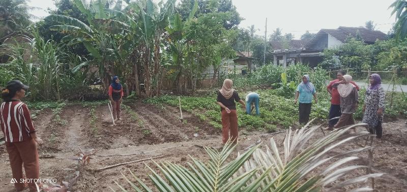 Kadus 1 Desa Margolestari Tinjau Persiapan Lahan Tanaman Toga Kelompok Sumber Waras 